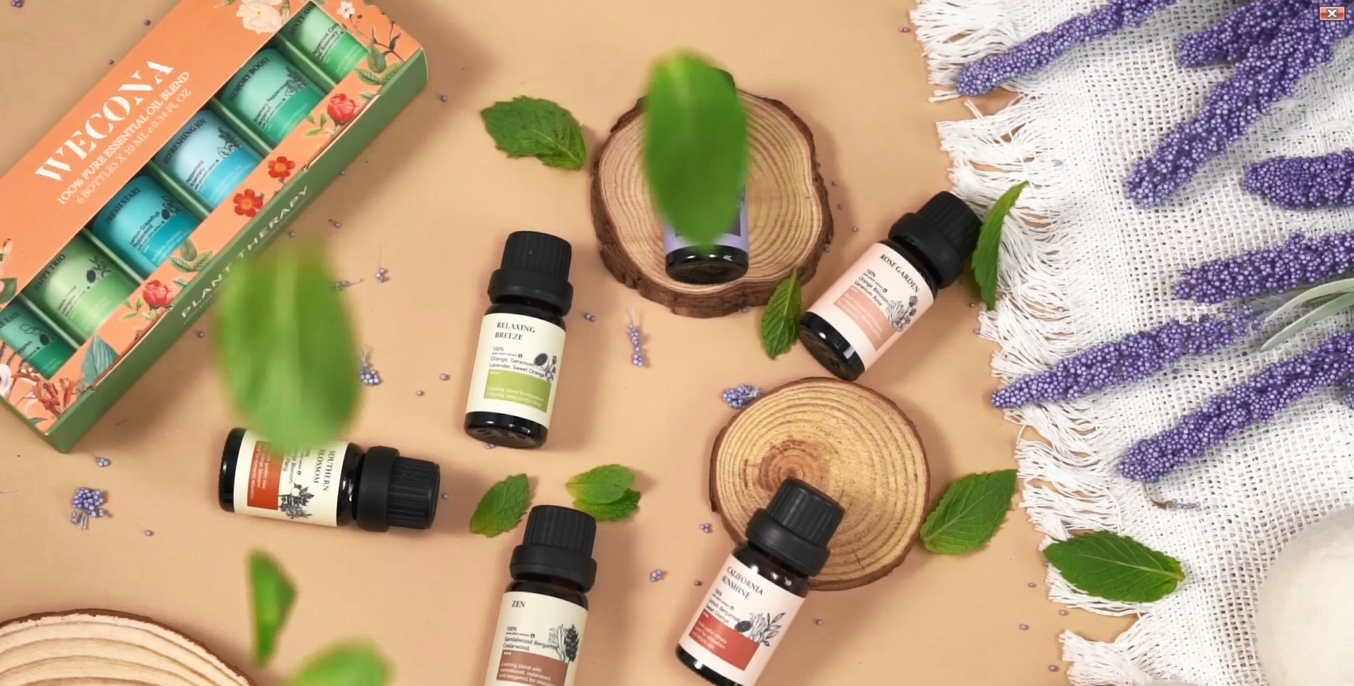 Amazon.com: Focus Essential Oil Set – 6x10ml Essential Oils for