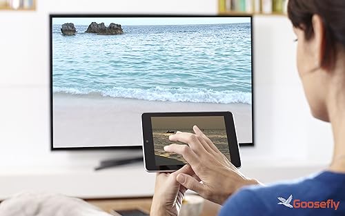 praia livre dia e noite - mude seu humor com o nascer do sol na praia deslumbrante na sua TV HDR 8k