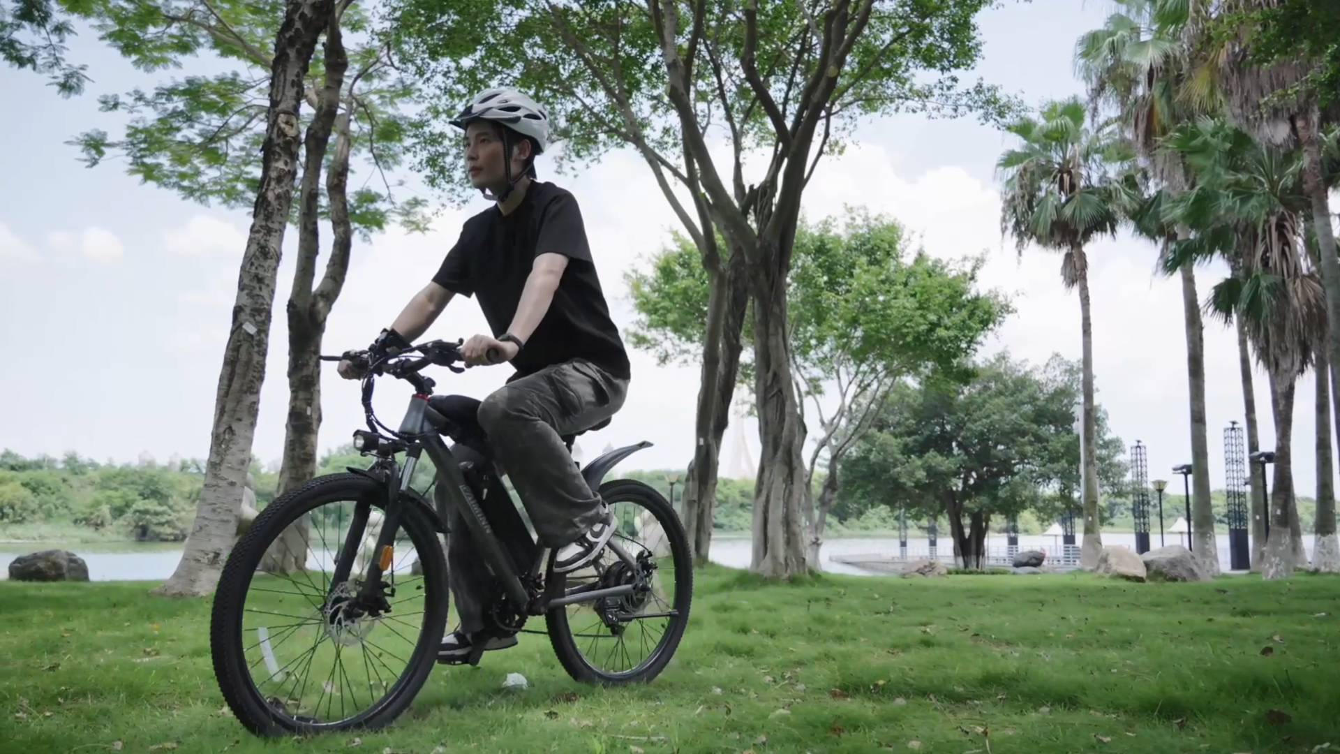 Amazon.co.jp: PAIMINN: 電動アシスト自転車