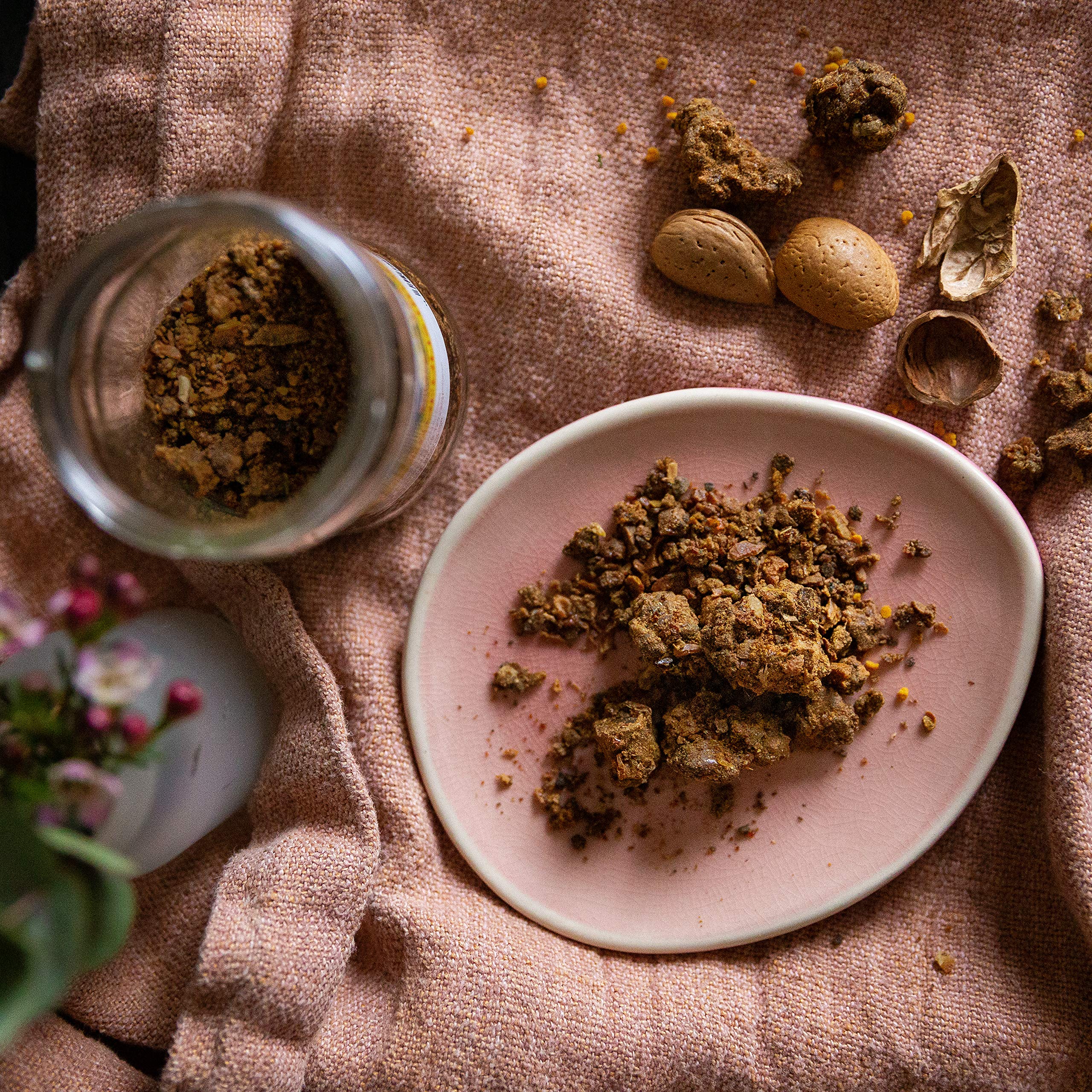 Propolis von ImkerPur, 100g, antibakteriell, rückstandsfrei, direkt vom Bienenstand (Propolis roh (in Stücken))