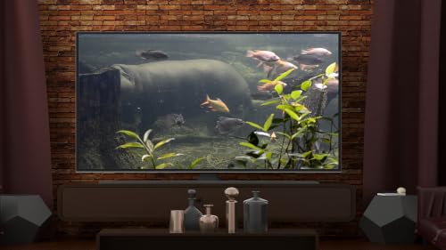 Aquarium de poissons tropicaux - Téléviseur récifal 4K Relax – vue 8