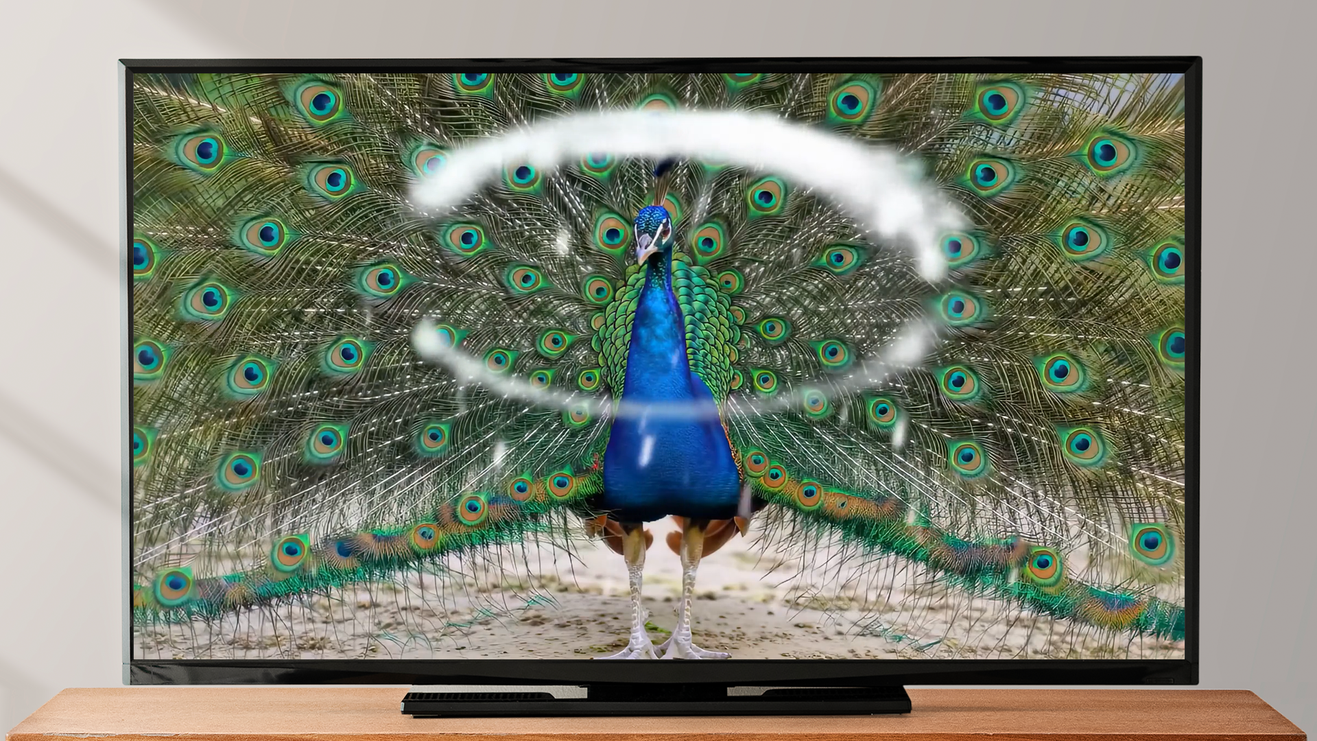 Peacock Bird Screensaver - Bird Songs & Nature Sounds - Aplicativo na ...