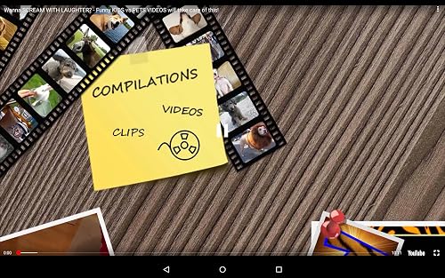 Funny Videos – vue 5