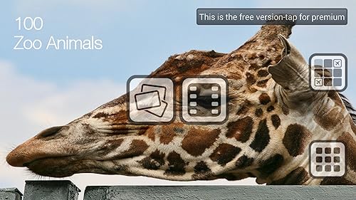 Free 100 Zoo Animals