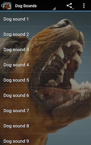 Dog Sounds