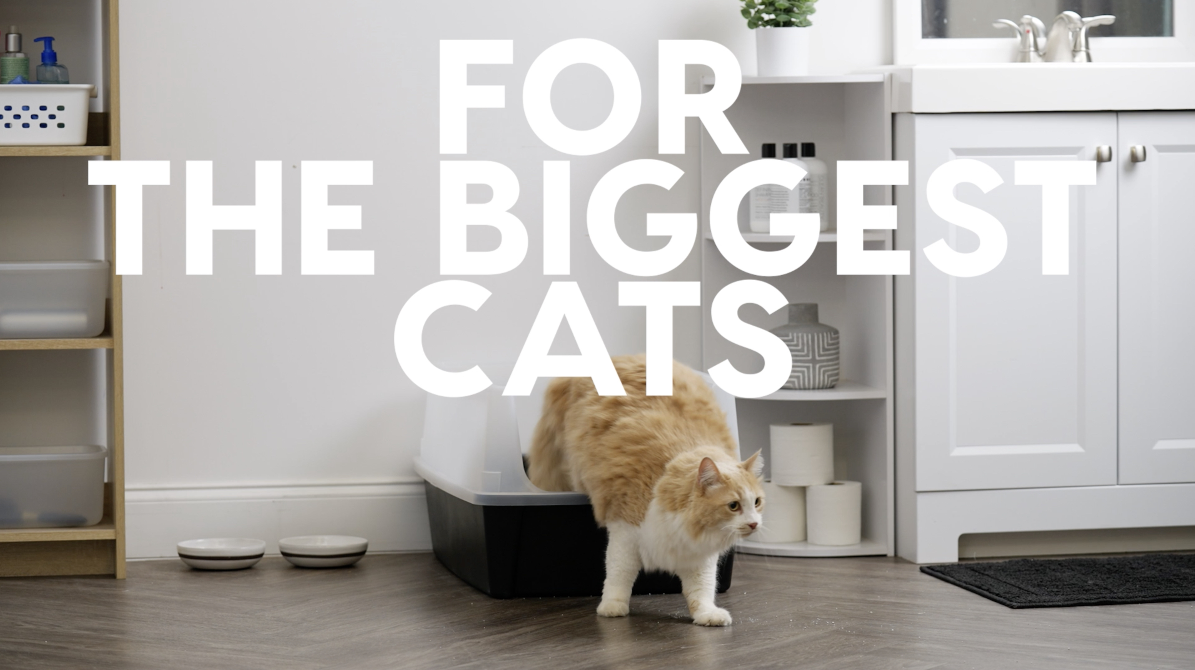 IRIS USA XX-Large Cat Litter Box, Open Top Extra Large Litter Box for Big Cats and Multi-Cat Households, High Sided Scatter Shield, Easy to Clean, 30"L x 20"W x 14"H, Navy - image 8