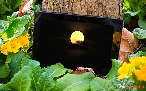 noite romântica da lua HD - desfrute de sonhos românticos ao luar com seu parceiro na sua TV HDR 4K,