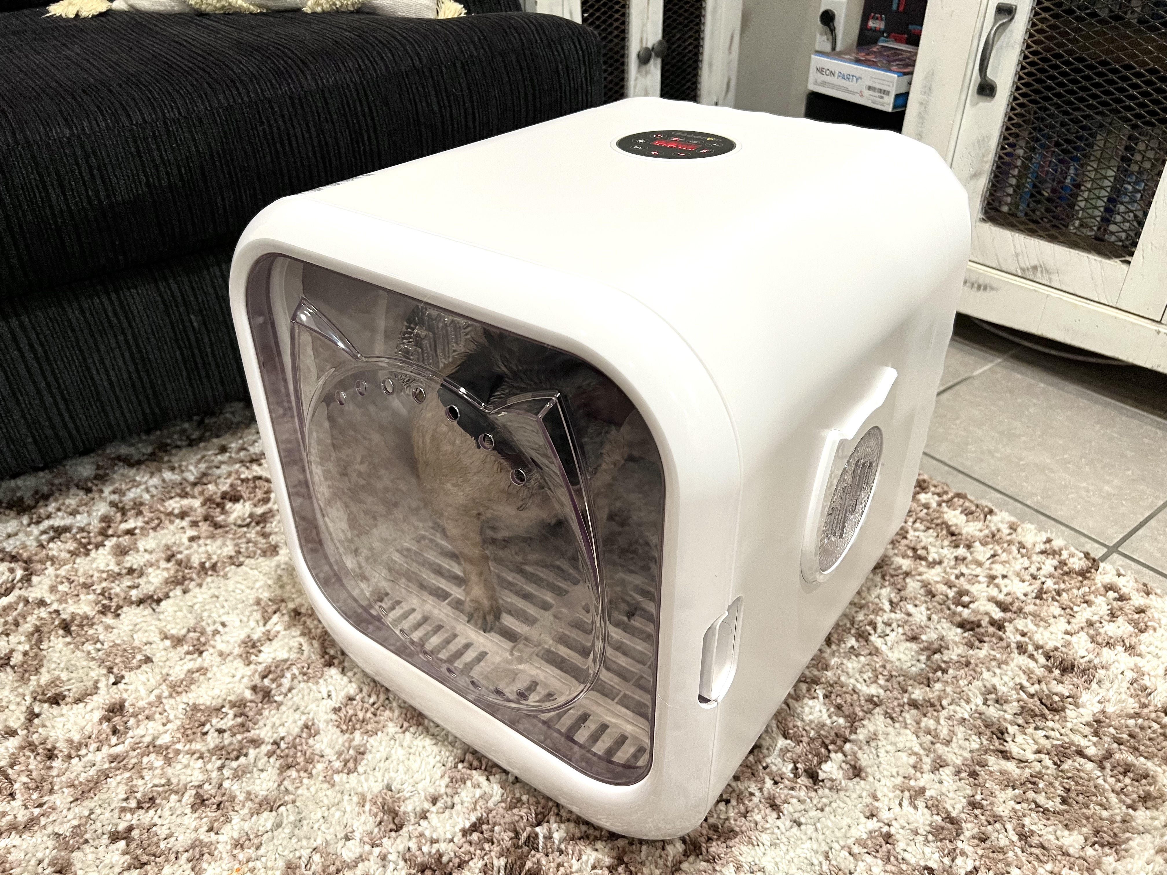 Watch GOODMOM PET DRYER | Works amazing!!! Full Review on Amazon Live