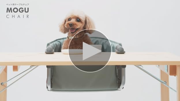 Wanyany ペット用チェア MOGU CHAIR Nuts MOGU (もぐ)チェア ナッツ | KISSBABY