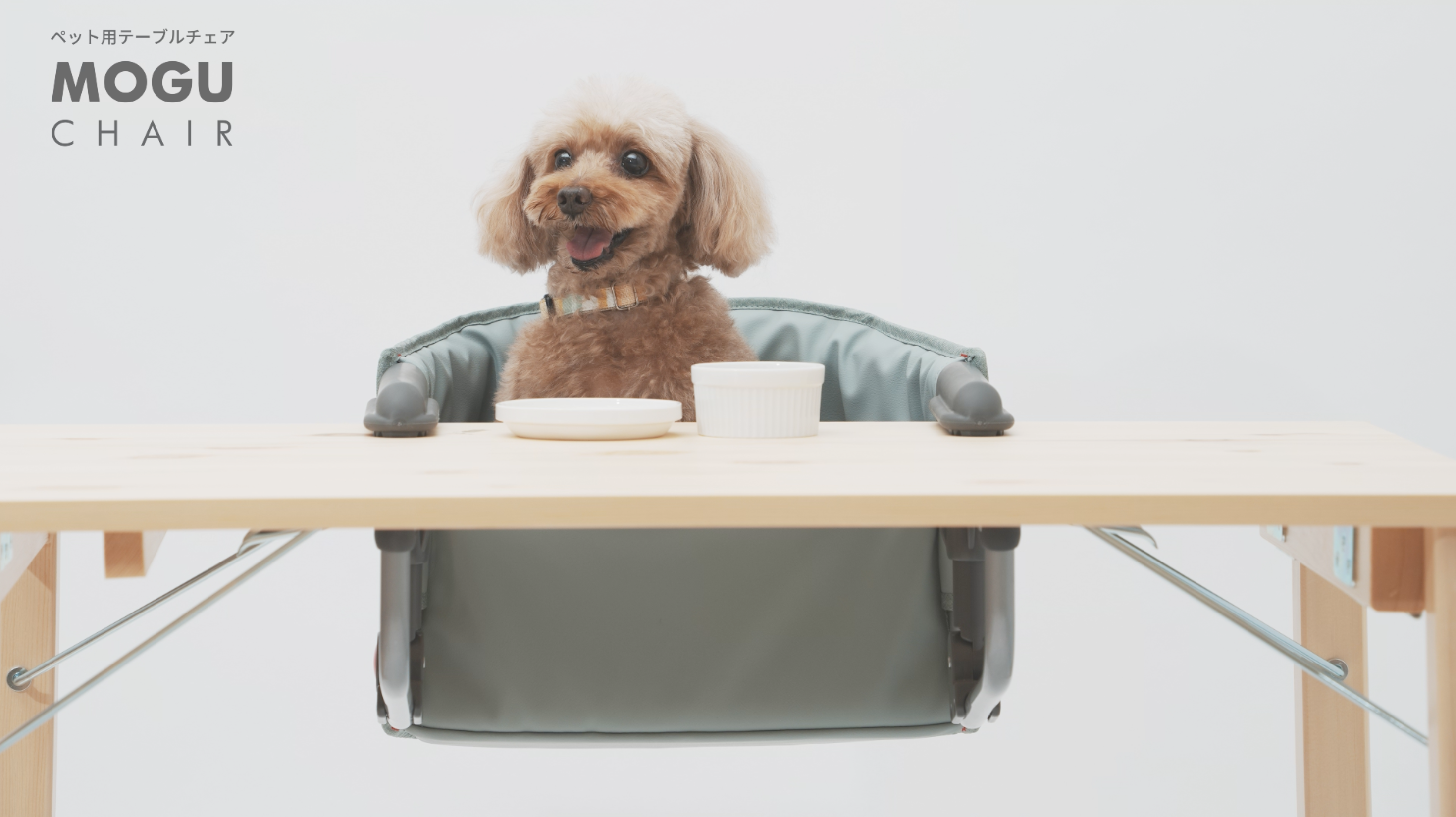 Wanyany ペット用チェア MOGU CHAIR Nuts MOGU (もぐ)チェア ナッツ | KISSBABY