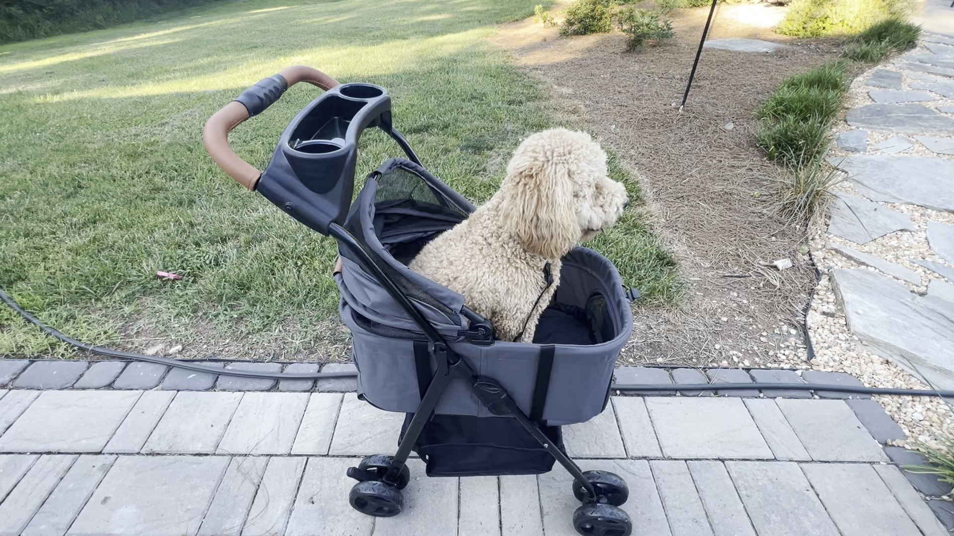 Watch Zoosky 3 in 1 Folding Dog Stroller Review on Amazon Live