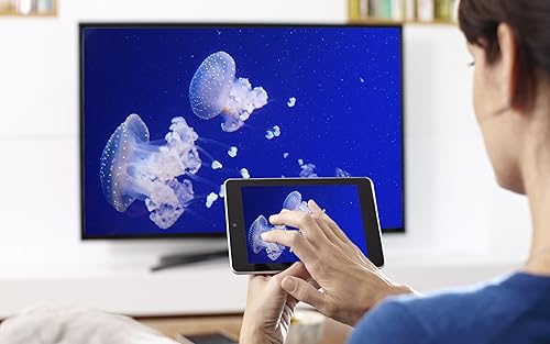 Água-viva aquário HD grátis - desfrute da água-viva na sua TV HDR 4K, TV 8K e dispositivos de fogo c