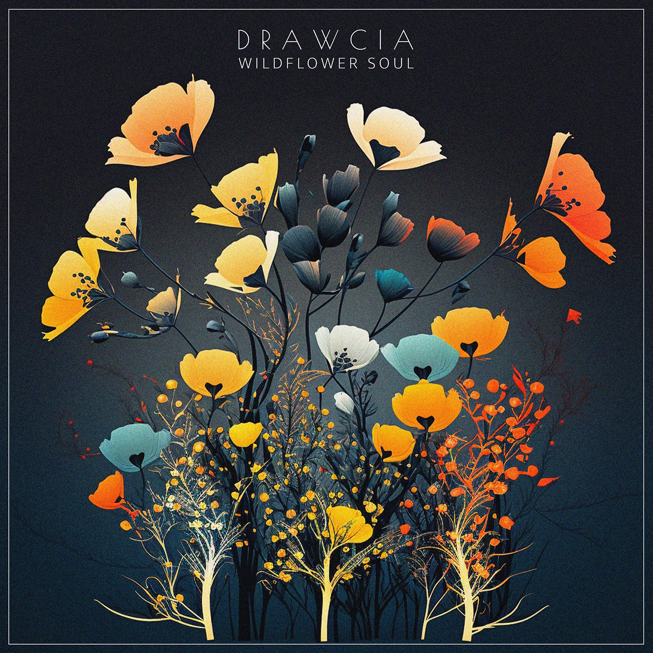Drawcia