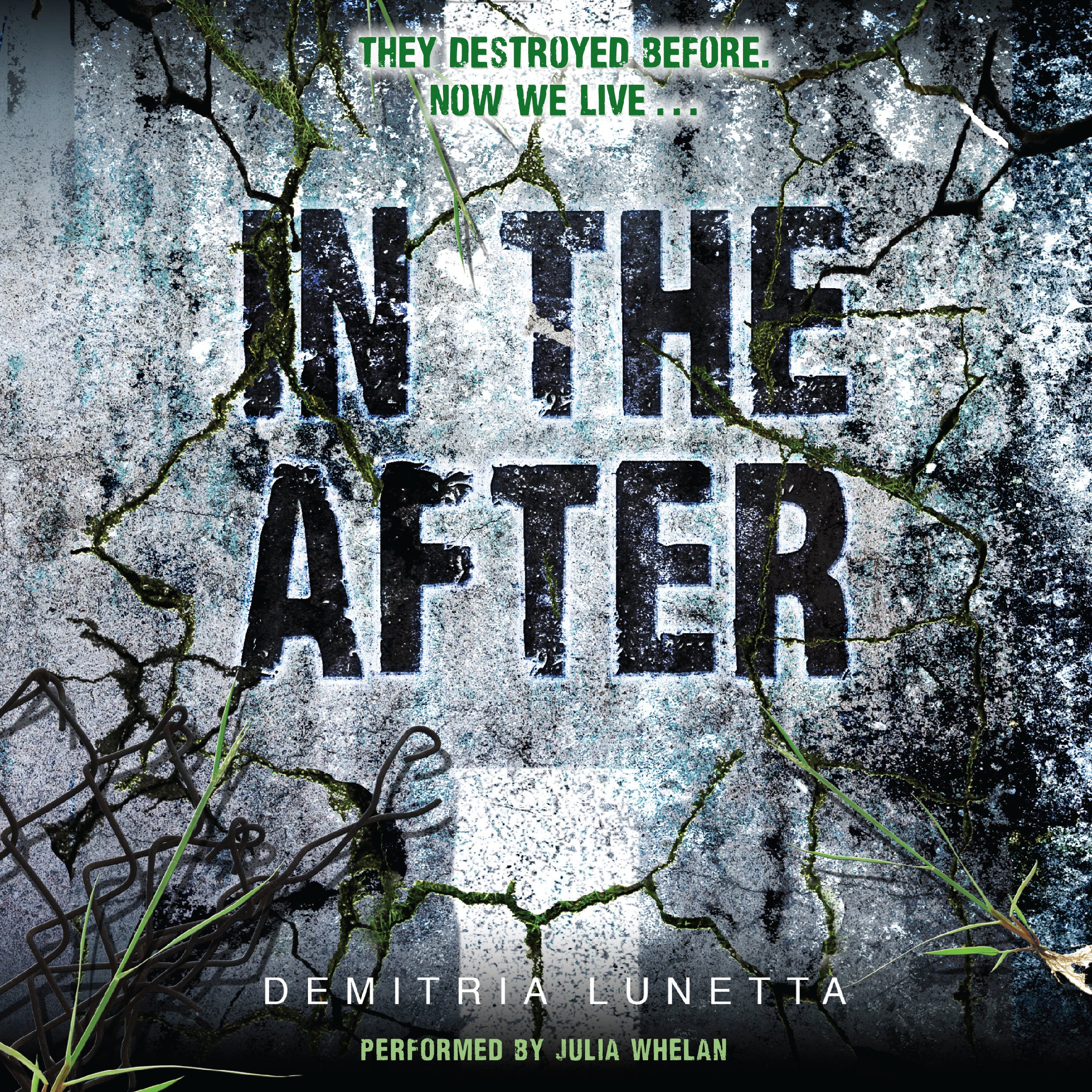 Cover art for In the After
