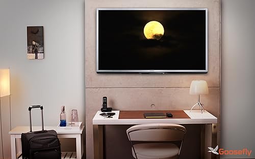 noite romântica da lua HD - desfrute de sonhos românticos ao luar com seu parceiro na sua TV HDR 4K,