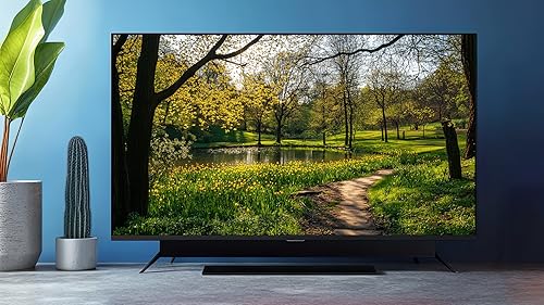 Manhãs tranquilas de primavera: protetor de tela calmante com canto de pássaros