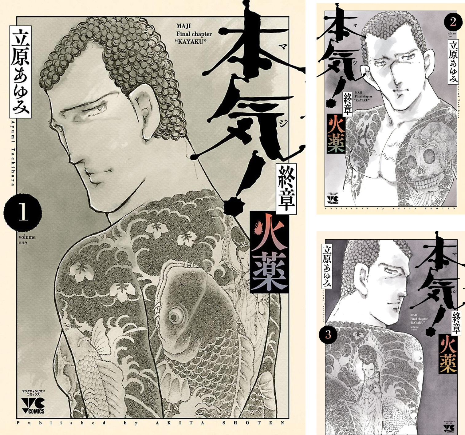 落とすと火薬が鳴るあれ B1F5zi6u3eL.png トイガン