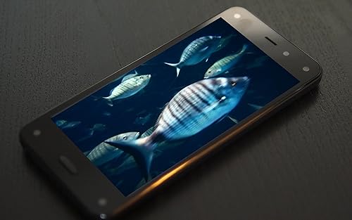 free rush aquarium HD - multidão de peixes grandes no aquário em sua TV HDR 4K, TV 8K e dispositivos