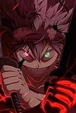 Genérico Póster decorativo en alumino de Anime, BlackClover Personaje con Ojos Heterocromáticos, Rojo y Verde, Arte de Pared, Decoración Temática Japonesa PERSONALIZA TU IMAGEN FAVORITA!!!