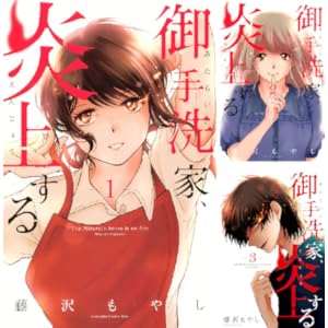 御手洗家、炎上する