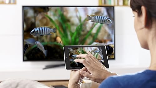 aquário de peixe branco grátis HD - decore seu quarto com um lindo aquário em sua TV HDR 4K, TV 8K e