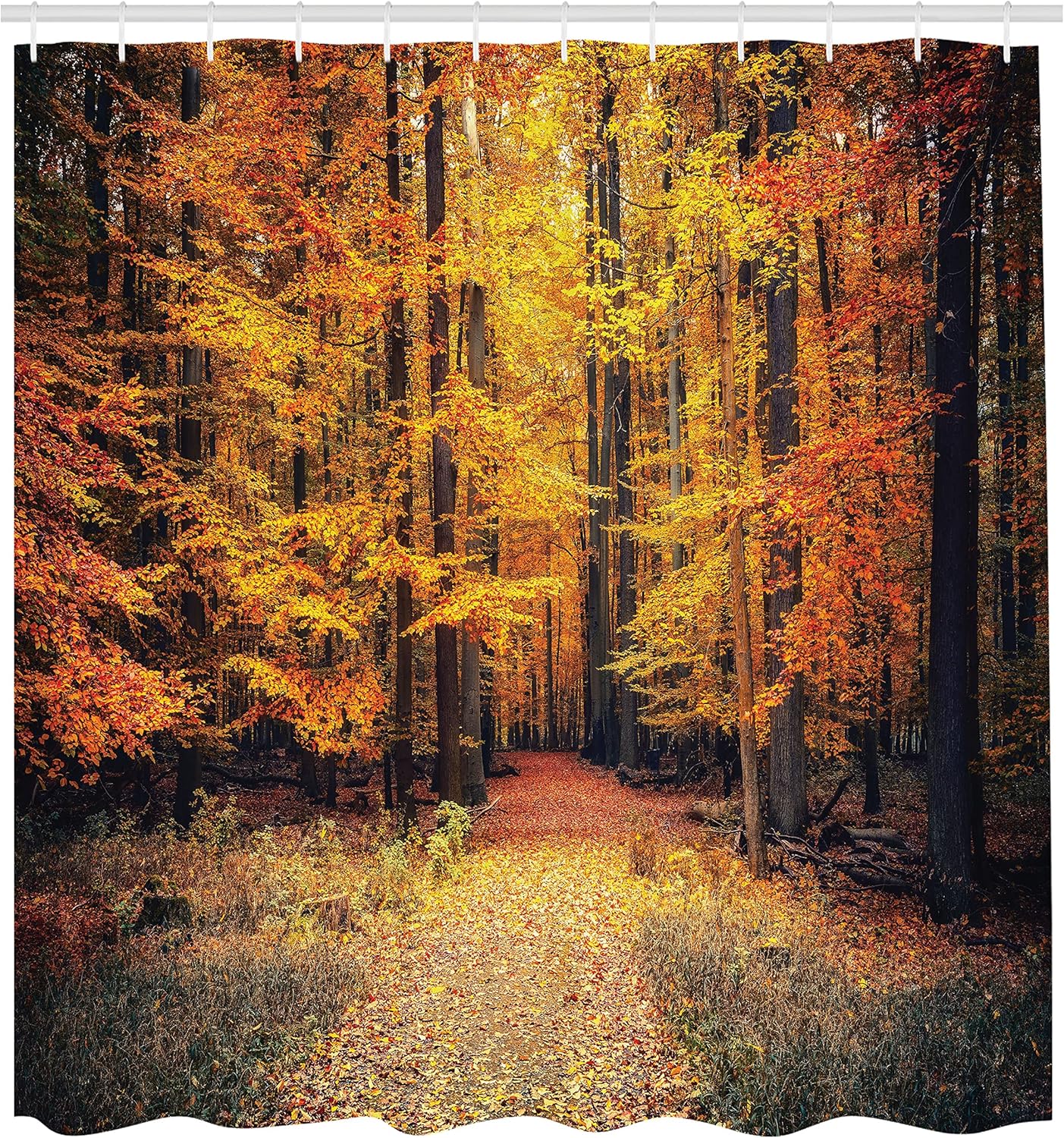 Ambesonne Forest Shower Curtain, Fall Photo in National Park Vivid Leaf Plant Eco Earth Theme, Cloth Fabric Bathroom Decor Set with Hooks, 69" W x 70" L, Orange Brown