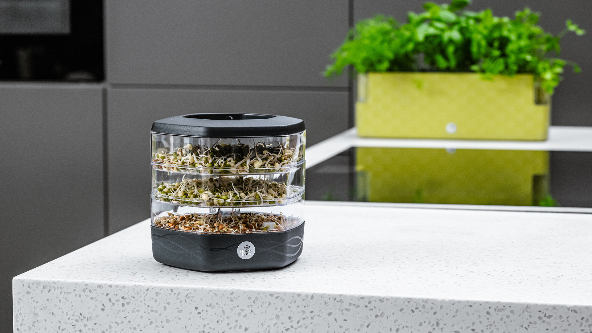 Germogliatore Automatico Per Semi - Kit Per Coltivare Germogli Di Soia, Avocado E Verdura In Casa, Senza Terra