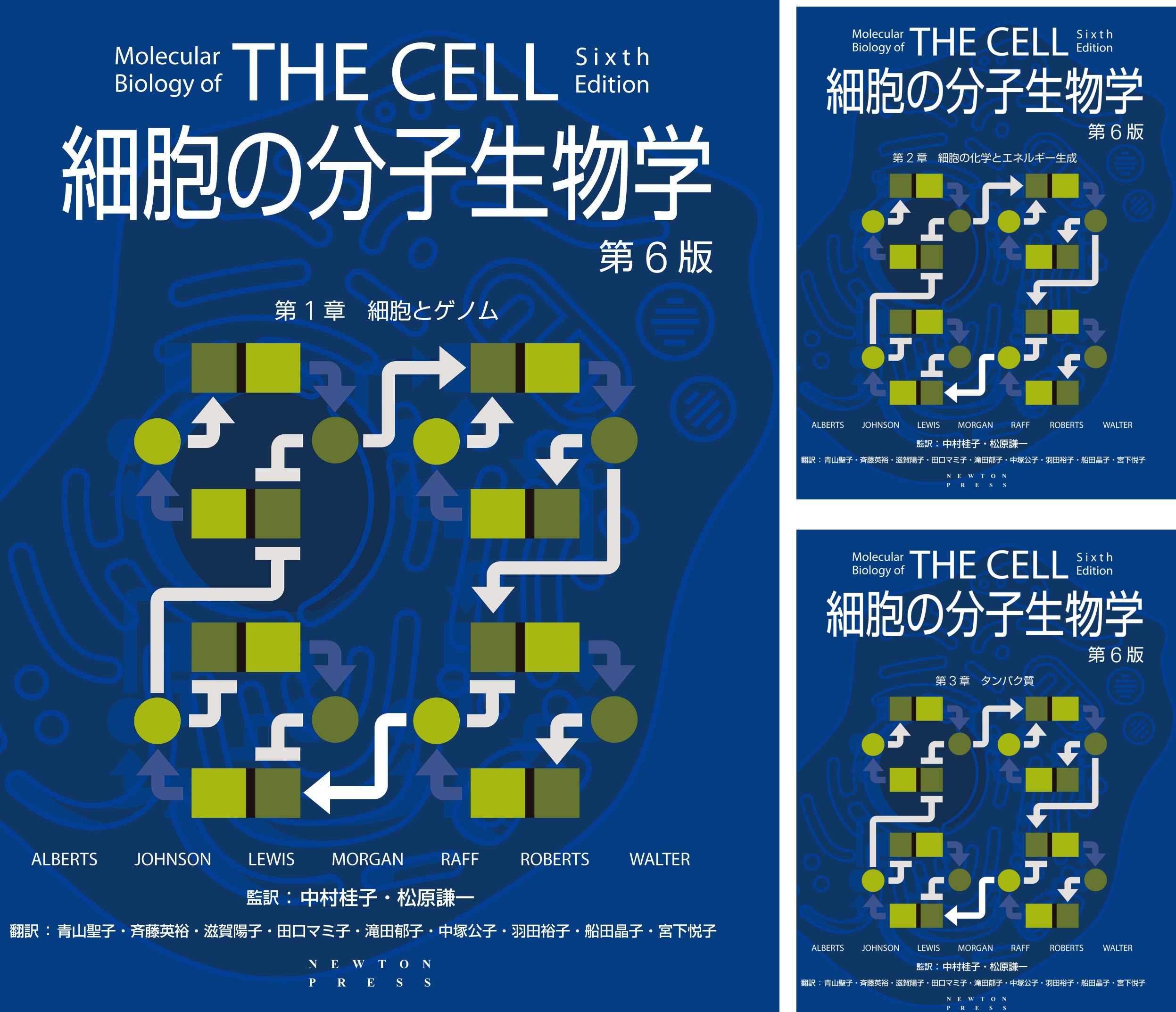 【新品未使用品】細胞の分子生物学 THE CELL 第6版 Amazon.co.jp: 細胞の分子生物学 第6版 電子書籍: ALBERTS, JOHNSON