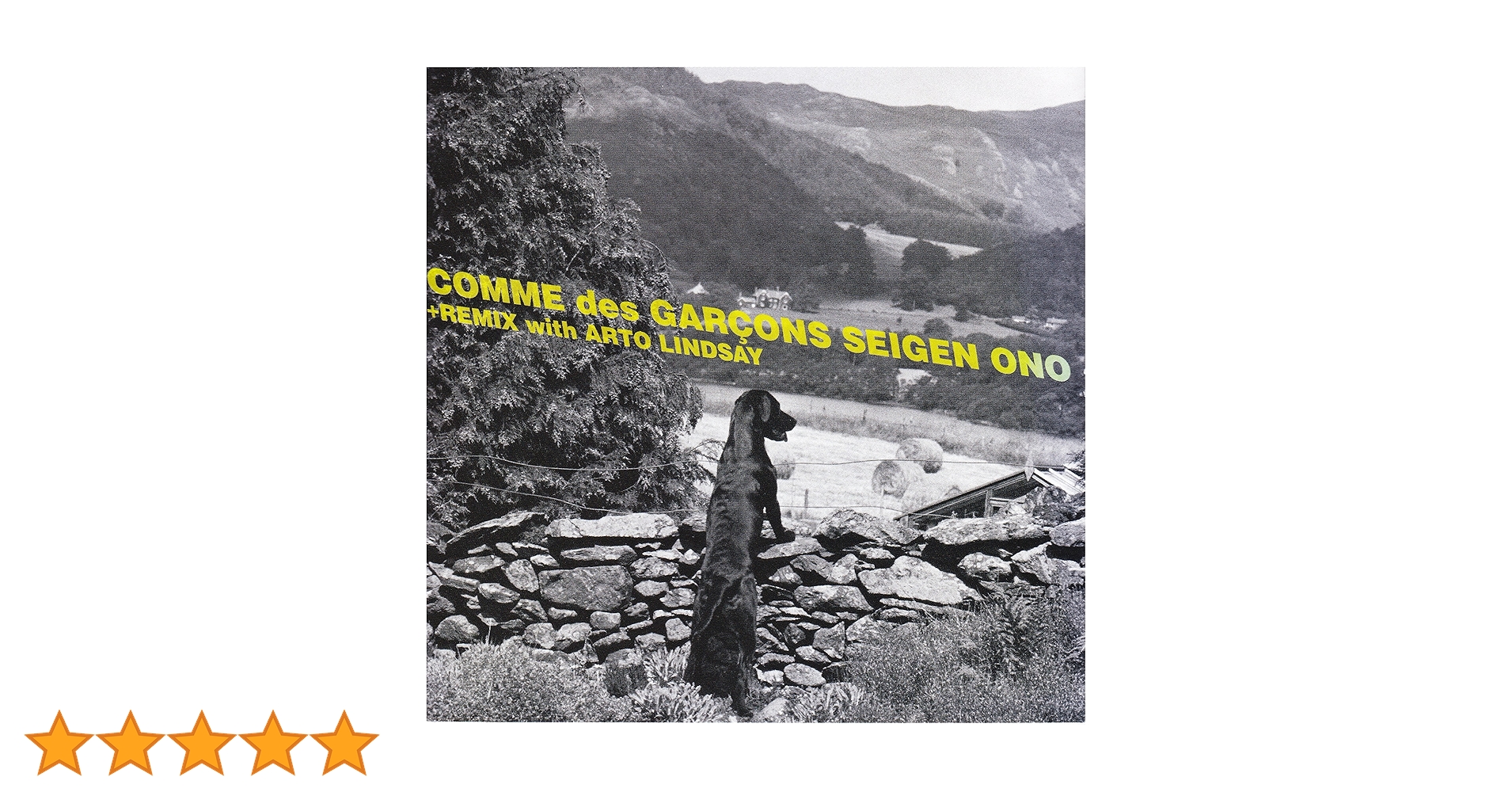 Amazon.co.jp: COMME des GARCONS: ミュージック