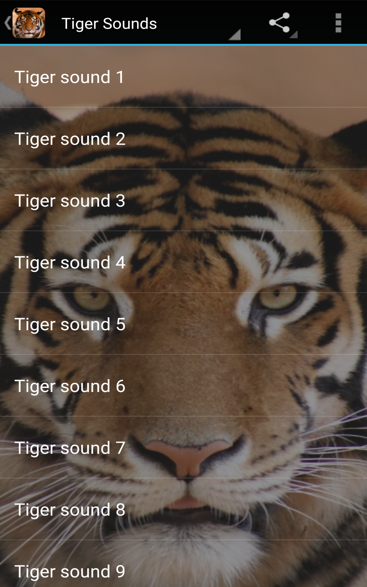 Tiger Sounds - App on Amazon Appstore