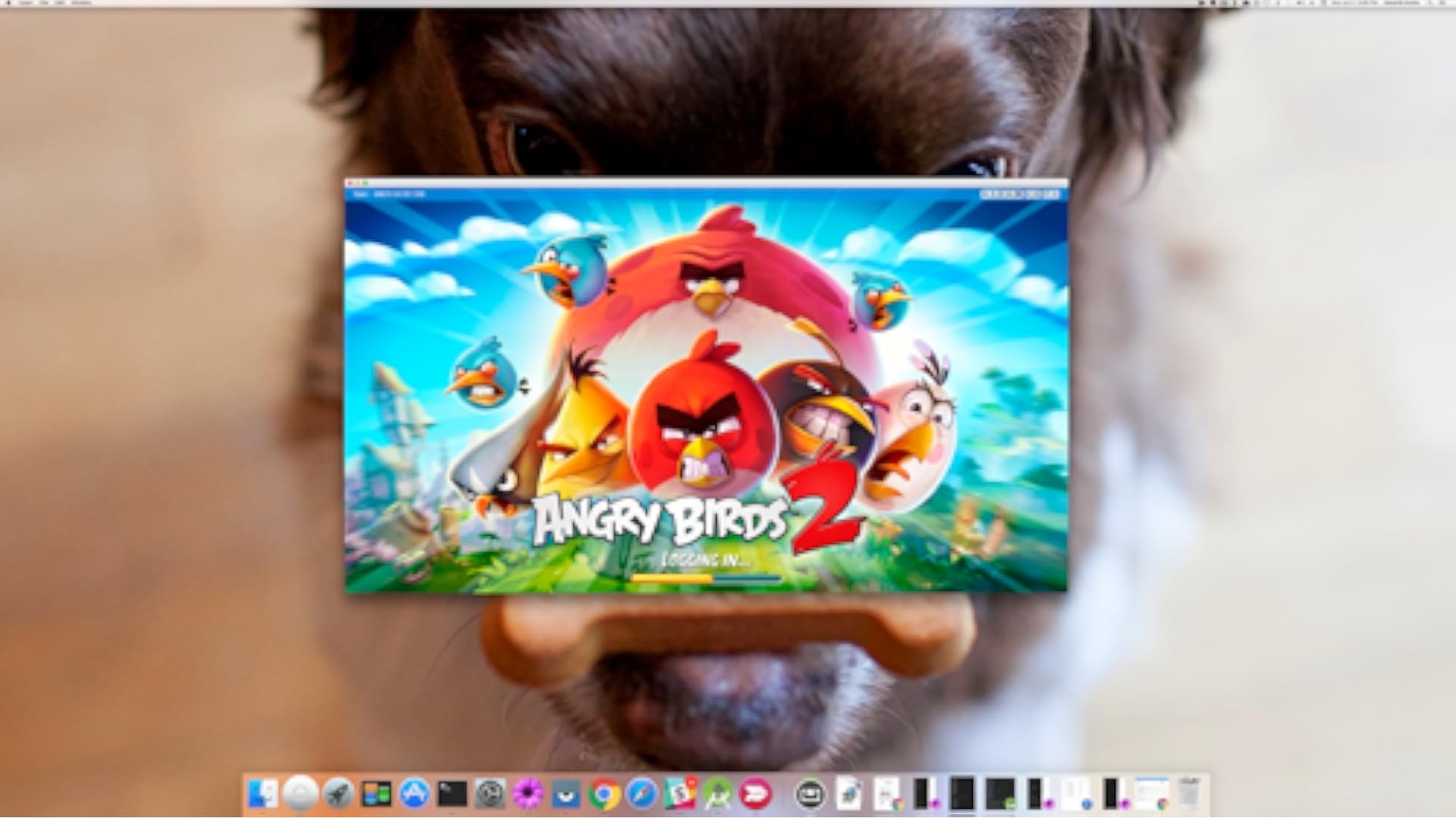 Vysor Android control on PC Application sur Amazon Appstore