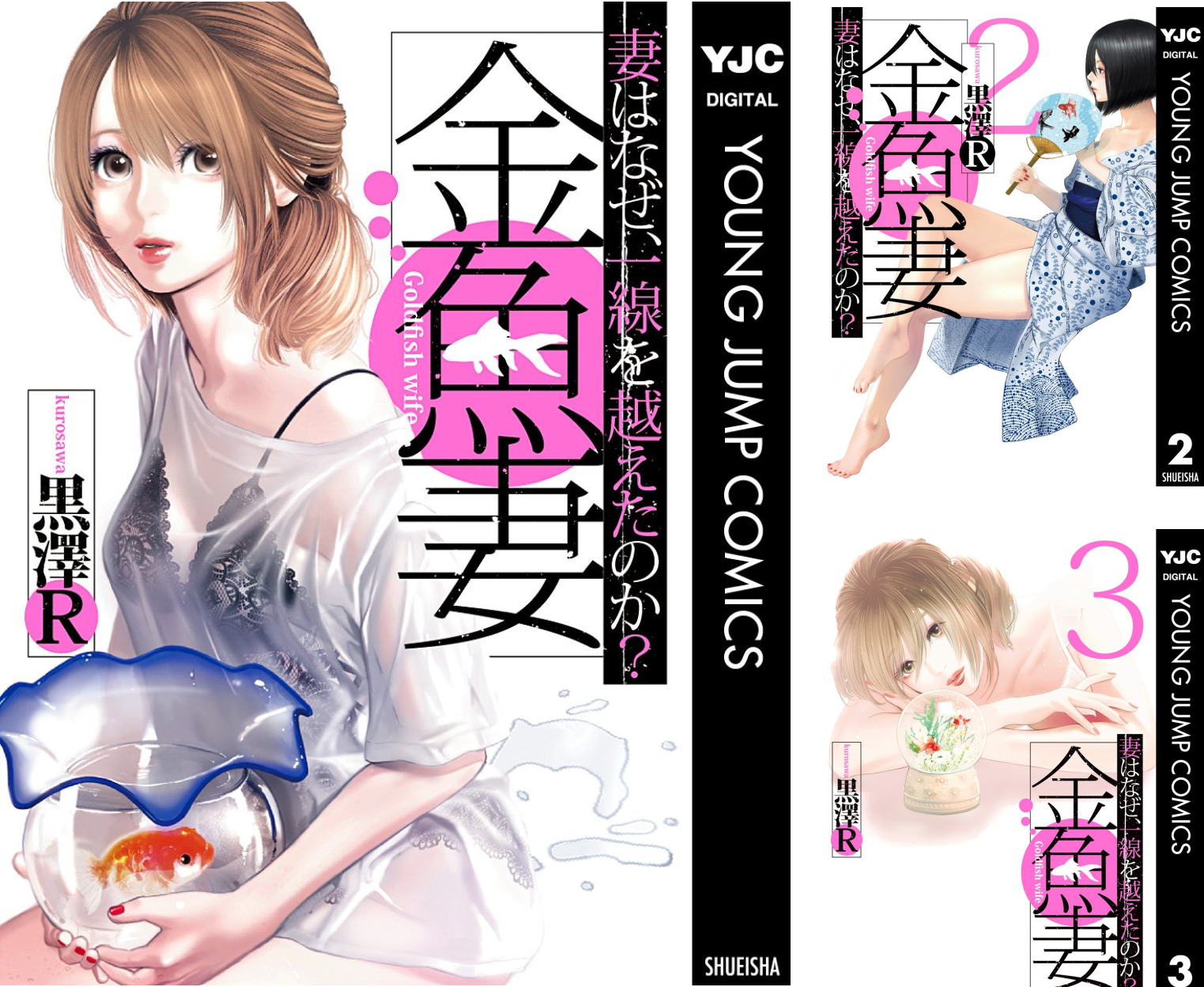 金魚妻 (全13巻) Kindle版