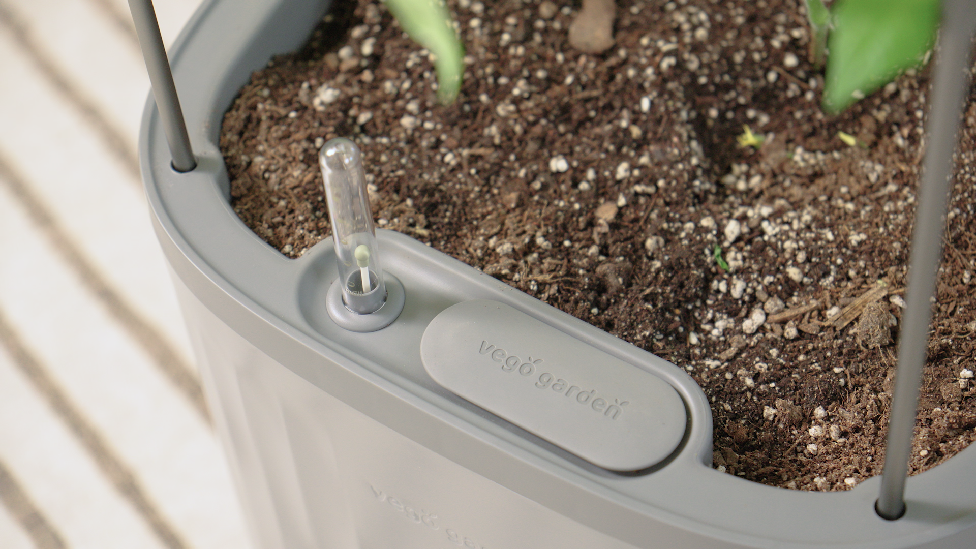 Watch Vego Garden Tomato Planter with Trellis Self-Watering Cage on Amazon  Live