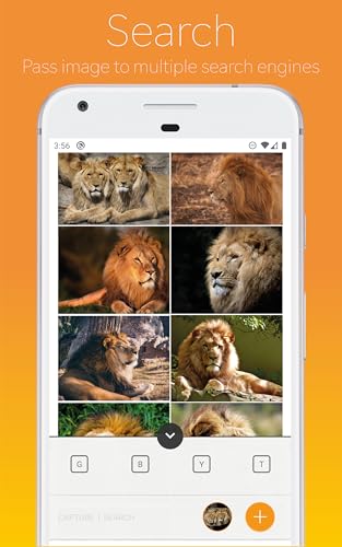 Capture Search - Reverse Image Search