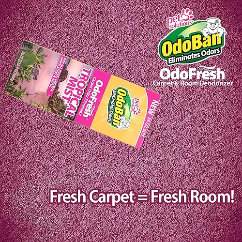 Miniatura 5 de OdoBan OdoFresh desodorante en polvo para alfombras y habitaciones para olores y olores del hogar, incluyendo humo, orina de mascotas, perros y