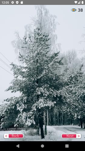 Winter Wallpaper App