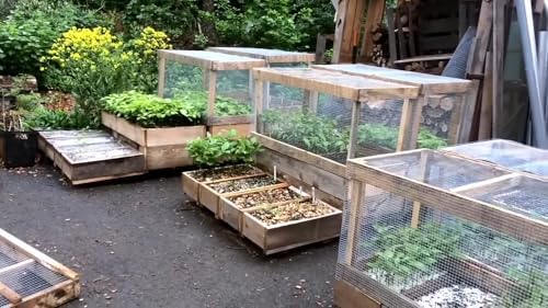 Edible Acres Permaculture