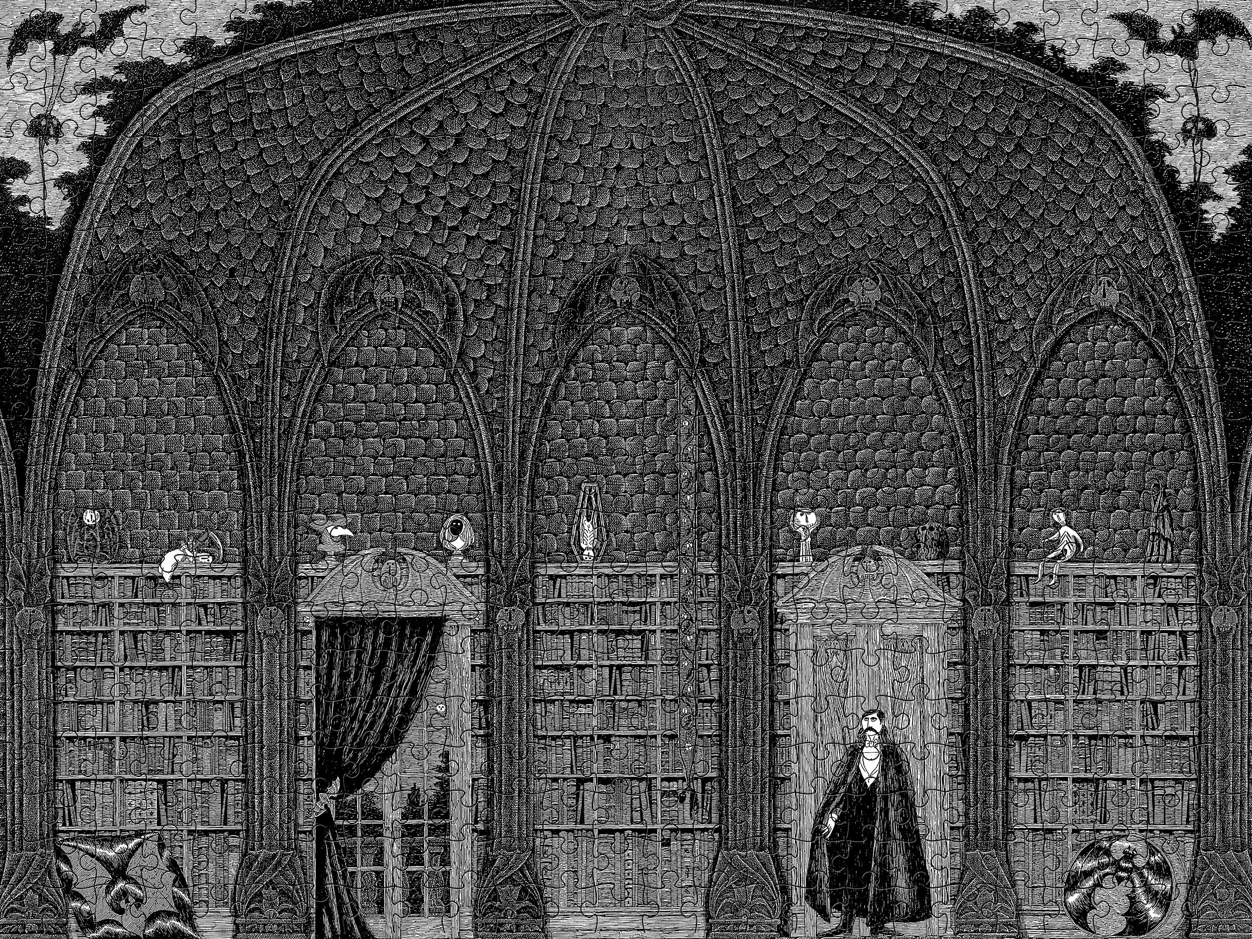 Amazon.com: Edward Gorey - Dracula in Dr. Seward's Library: 500