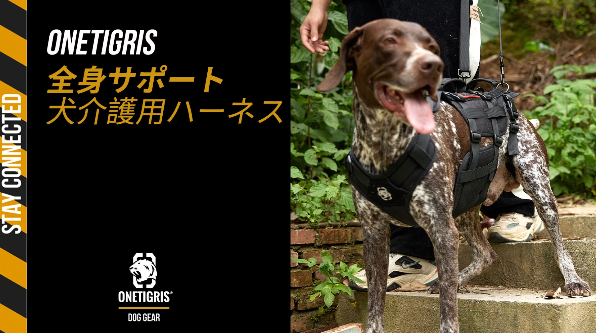 Amazon | OneTigris ハーネス 犬 介護 歩行補助 介護ハーネス犬 介護