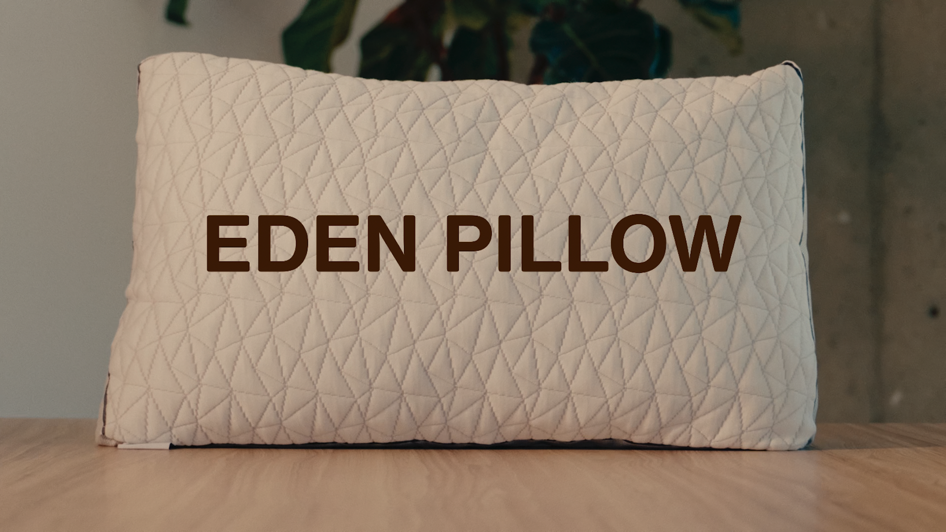 Coop Home Goods Original Eden Pillow