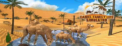 Camel Family Life Simulator