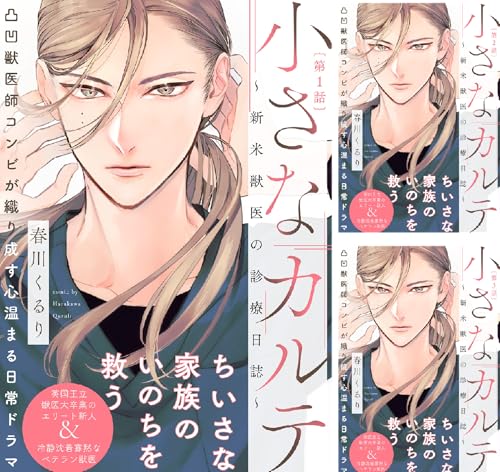 小さなカルテ～新米獣医の診療日誌～