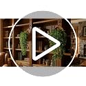 Image of Dekorly 2 Pack Artificial Plants Artificial Hanging Plants Faux Eucalyptus Leaf Greenery Fake Hanging Eucalyptus Plant (Green) (2, Cherry) (2, Green)