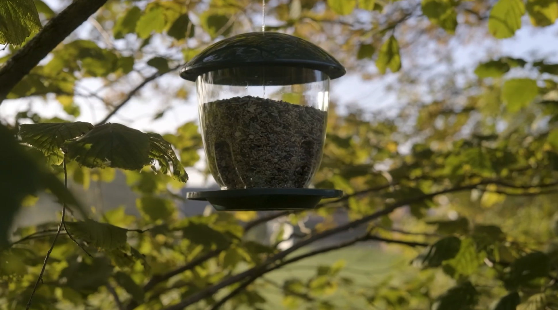 Große Vogelfutterstation Aus Zedernholz – DIY-Bausatz Mit Metalldach, 33 Cm, Für Draußen
