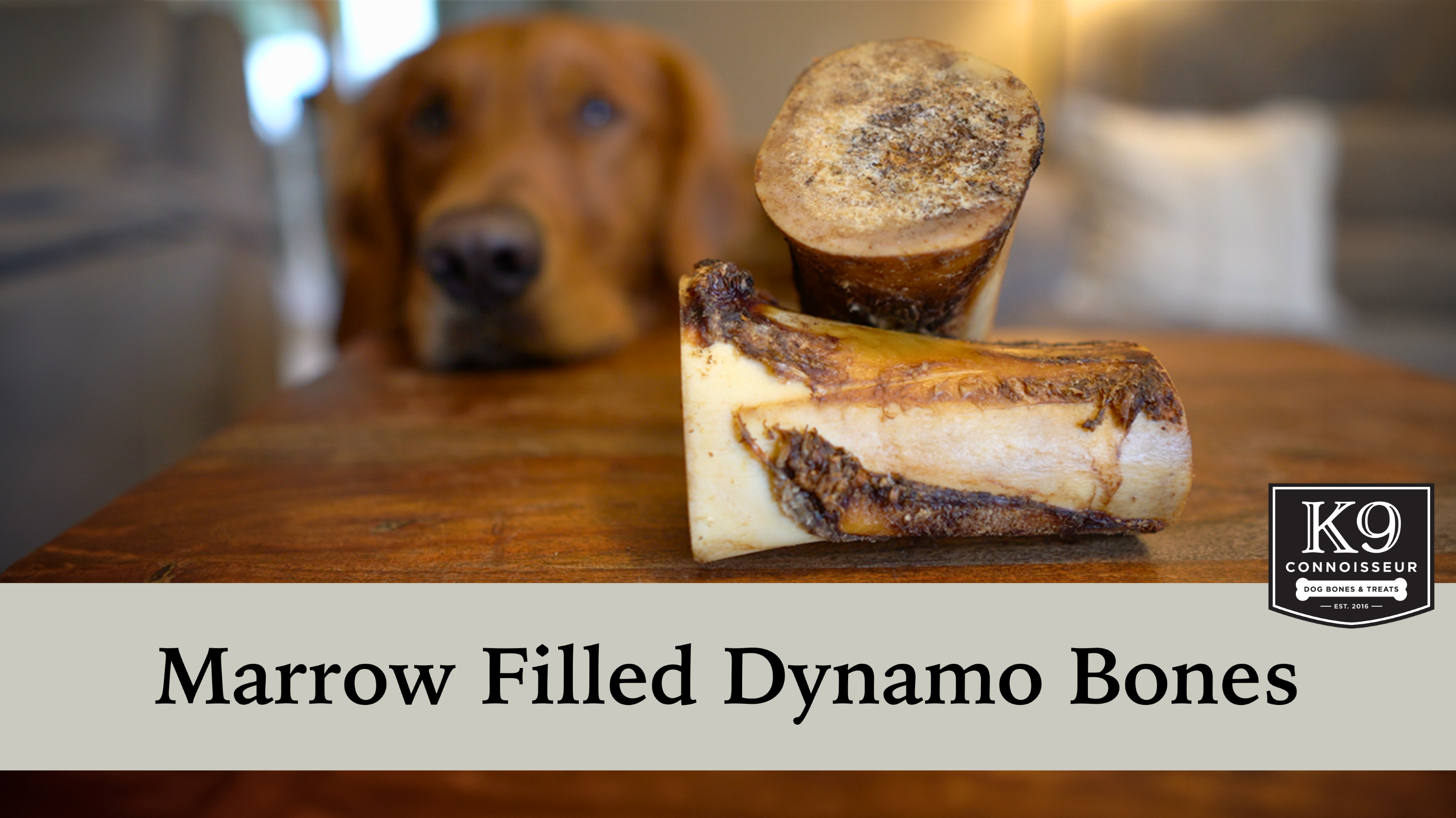 Amazon.com : K9 Connoisseur Beef Marrow Dog Bones Long Lasting for