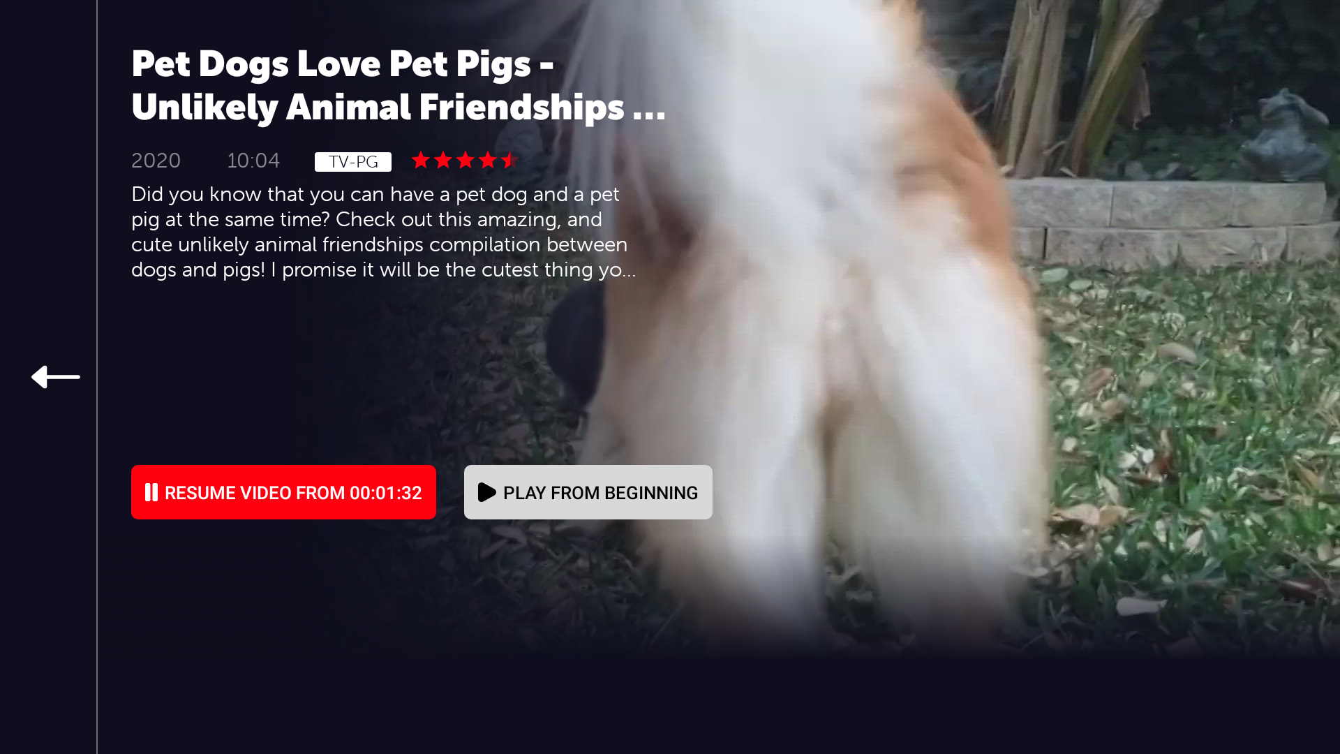 AFV Animals-Animal & Pet Video - App on Amazon Appstore