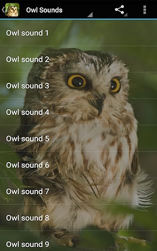 Owl Sounds