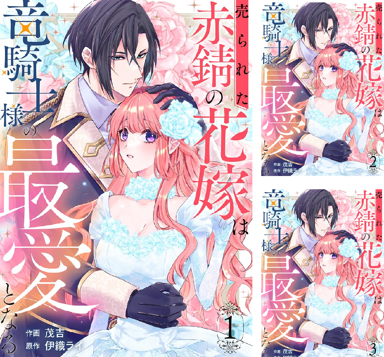 売られた赤錆の花嫁は竜騎士様の最愛となる (全12巻) Kindle版