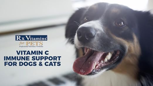 rx vitamins immuno support