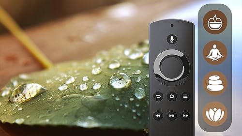 Som da Floresta de Chuva & Natureza: Sons Relaxantes da Floresta de Chuva para Dormir ou Estudar Son